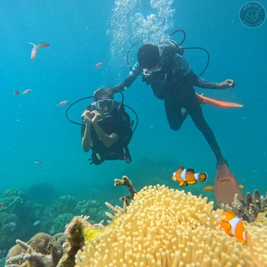 Scuba Dive: Boat Dive at Havelock Islands