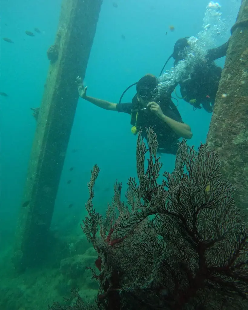 Scuba Dive: Boat Dive at Neil Islands 