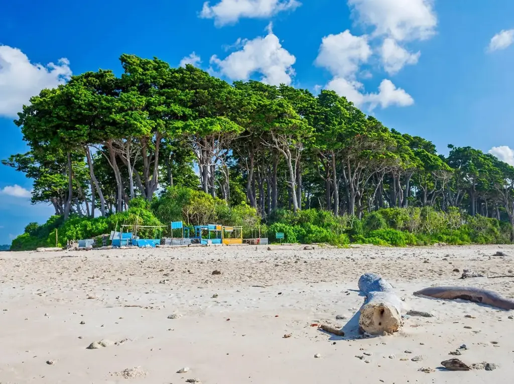 Forever in Paradise: 6 Nights and 7 Days