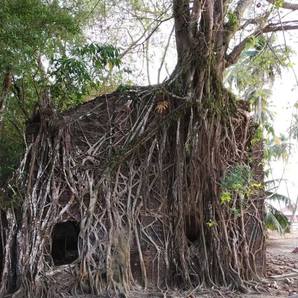 Family Fun in the Tropics : 4 Nights and 5 Day 